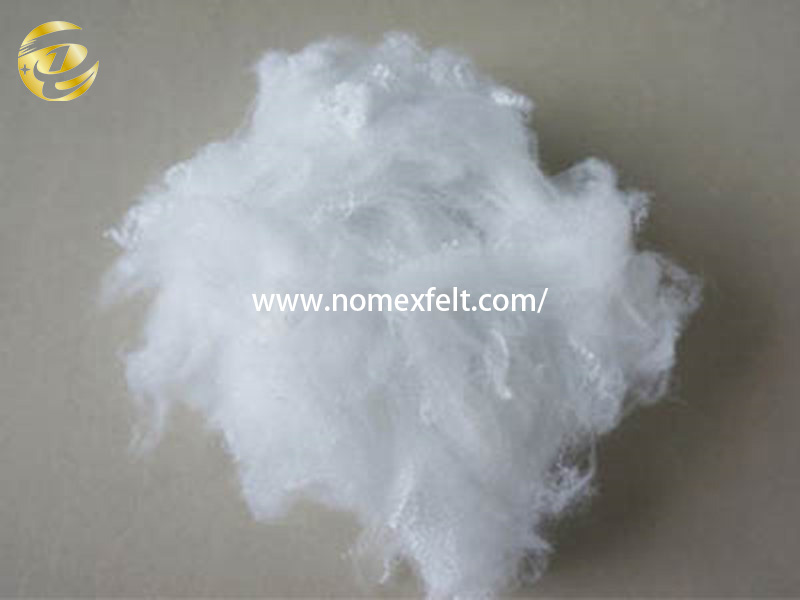 polyester fiber