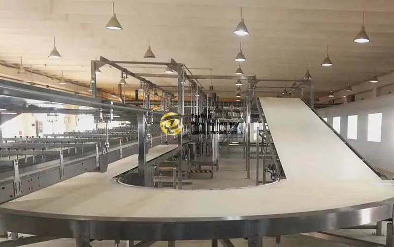 Food conveyor belt design